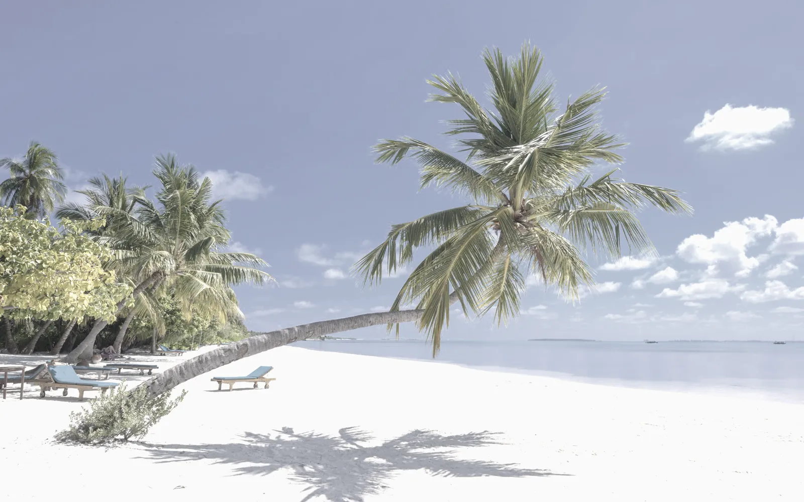 Salt Flat, after